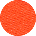 000008577801