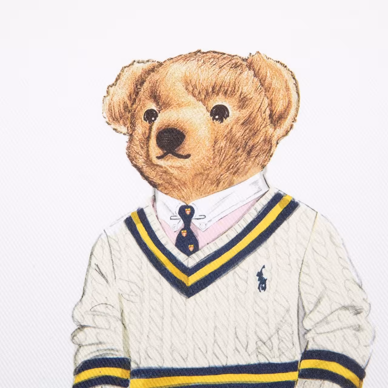  teddy bear,  bär pullover,  strickpullover,  sweater,  polo bear, 