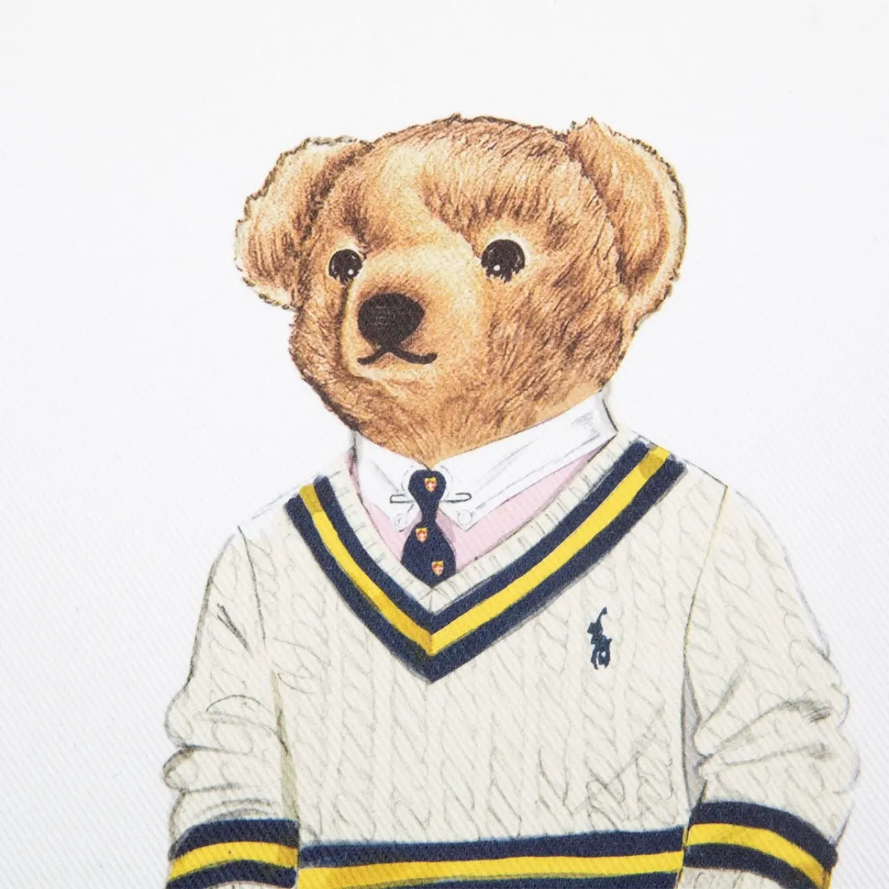  teddy bear,  bär pullover,  strickpullover,  sweater,  polo bear, 