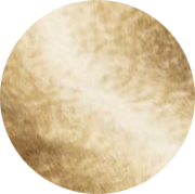 000008655301