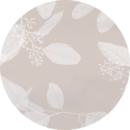 Schlossberg Farbe Omeo beige