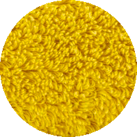 000009014501