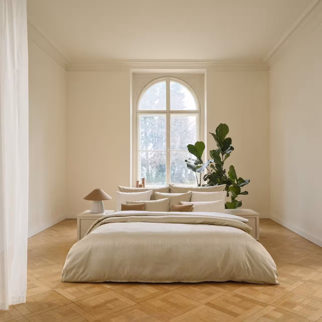 betten, bettwäsche, neutral, pflanze, fenster, 
