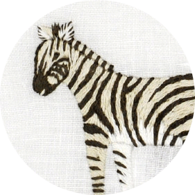 Zebra