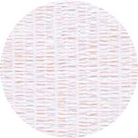 000009075504
