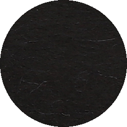 000008815301