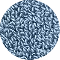 Farbmuster Frottier mittelblau