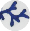 000008466601