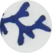 Farbmuster Tischwäsche Koralle blau