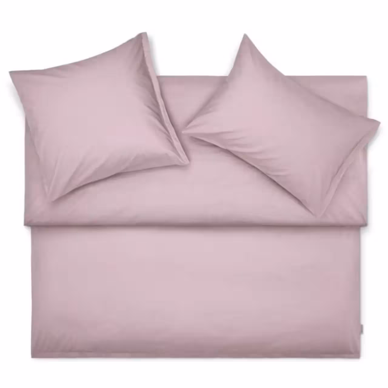 000009176004 - mauve