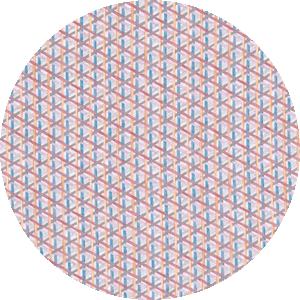 000008897401