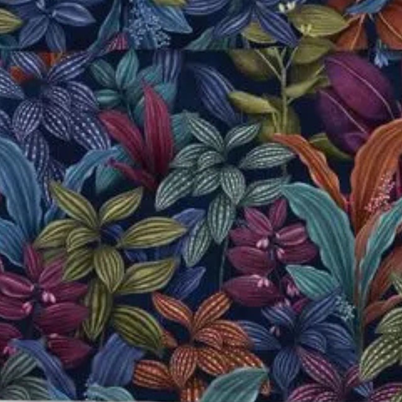 musternde blätter, bunte blätter, blumenmuster, tropische blätter, abstracte pflanzen, 