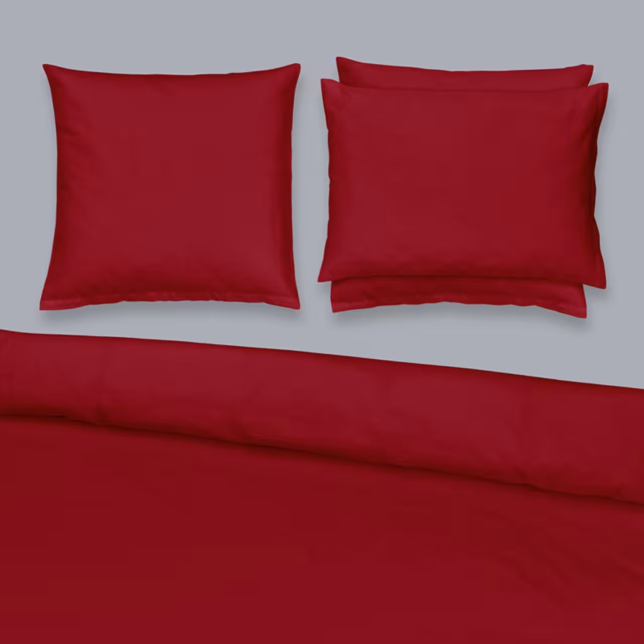 000008203004 - 292 rot
