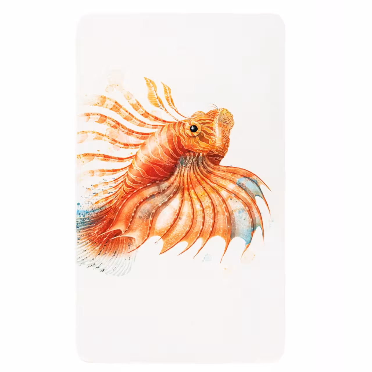 fisch, betta, betta fisch, zierfisch, illustration, 