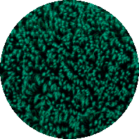 000009014501