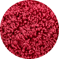 000009016501