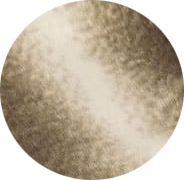 000008655301