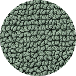 000008227702
